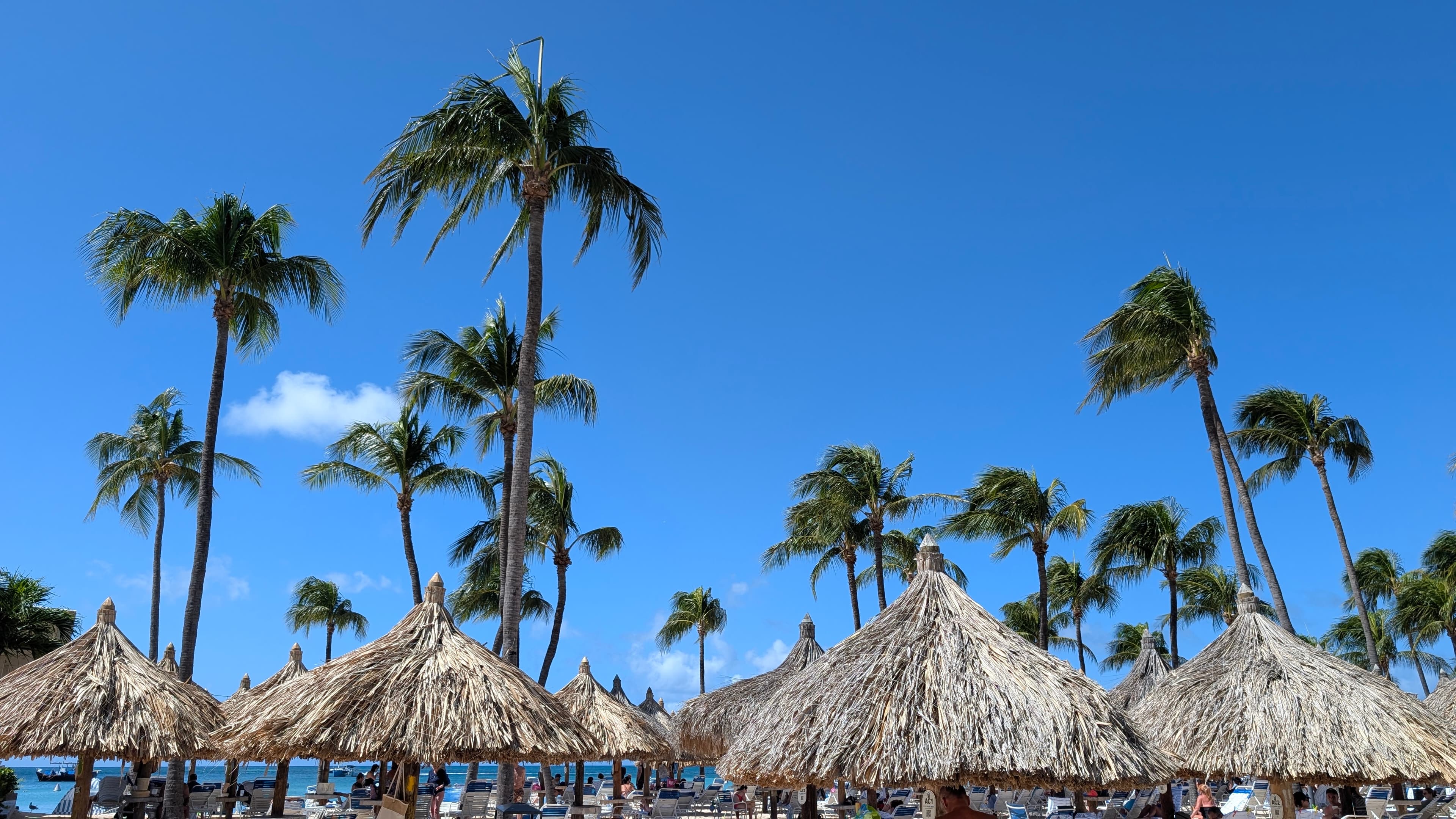 Warm Winter Days in Sunny Aruba
