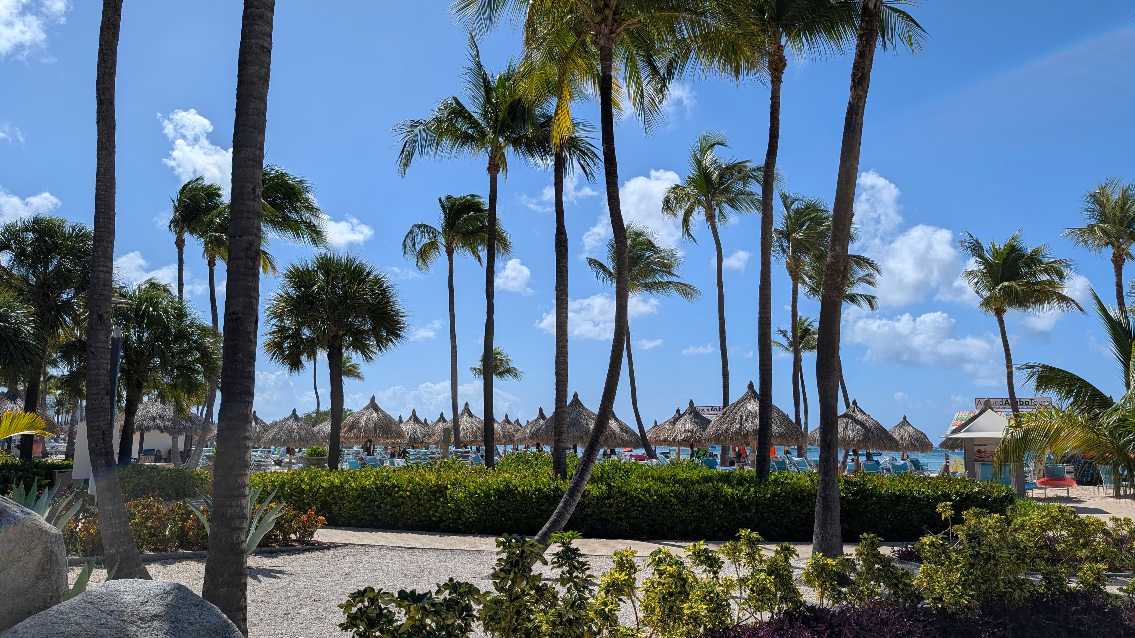 Warm Winter Days in Sunny Aruba