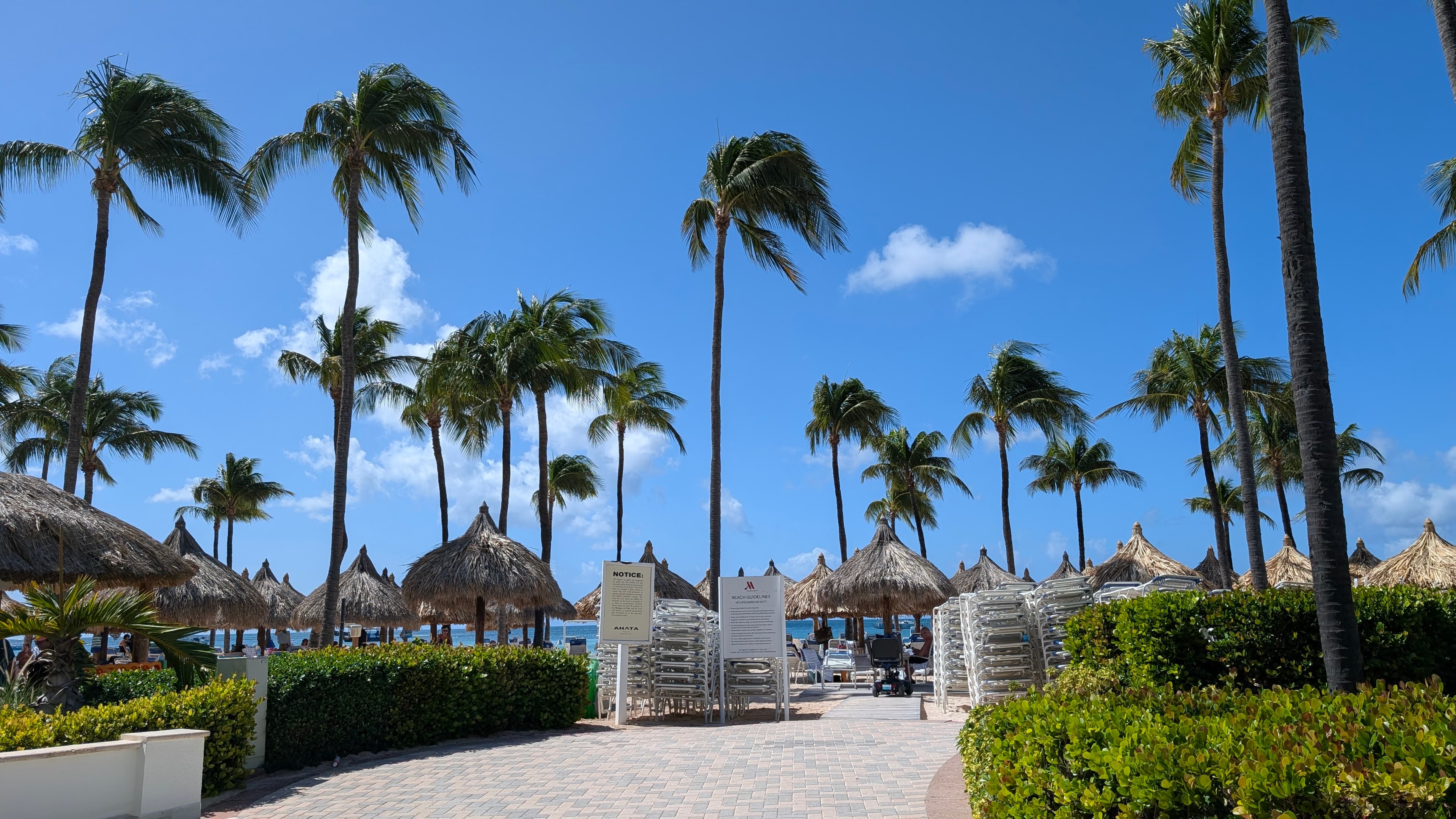 Warm Winter Days in Sunny Aruba