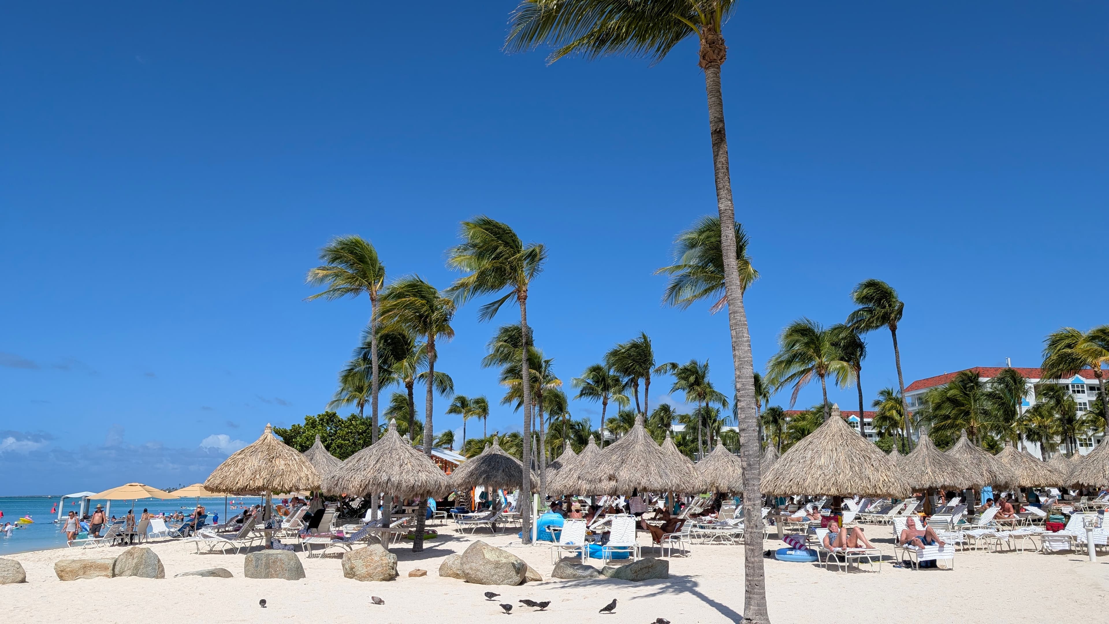 Warm Winter Days in Sunny Aruba